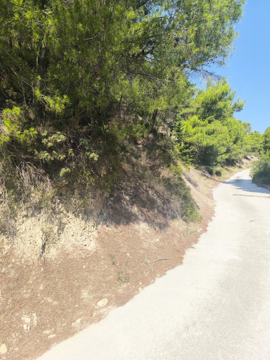 BUILDING LAND  NEAR THE SEA