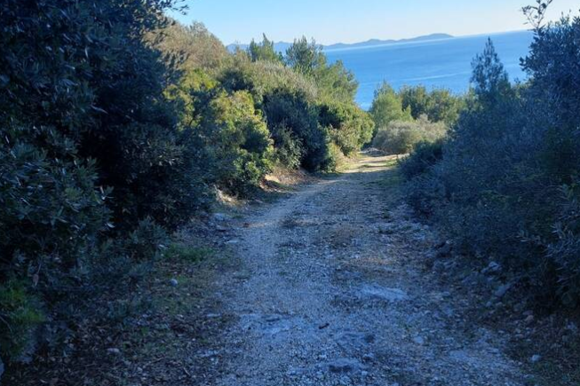 LAND INSEL KORCULA
