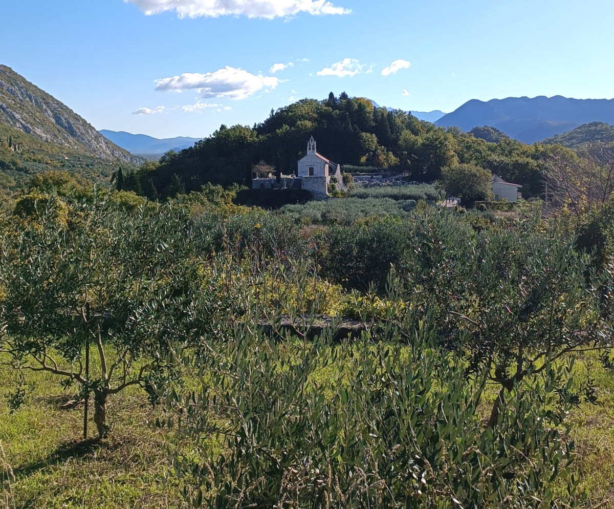 GRAĐEVINSKO ZEMLJIŠTE, OSTRVICA
