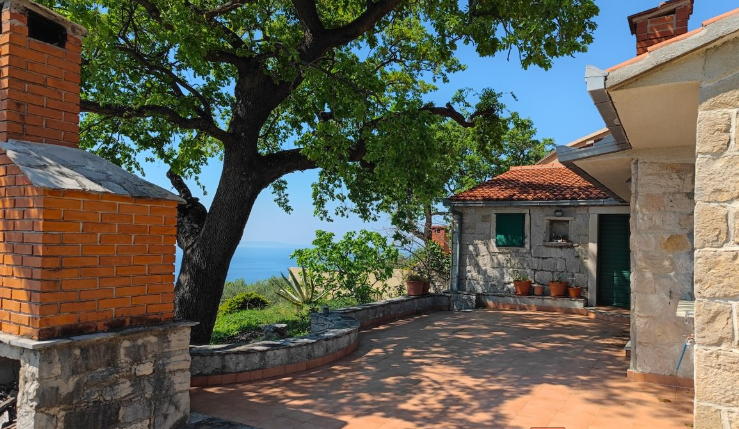 KAMENA KUĆA  S MASLINIKOM