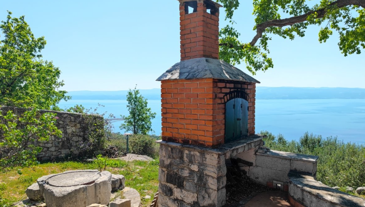 KAMENA KUĆA  S MASLINIKOM