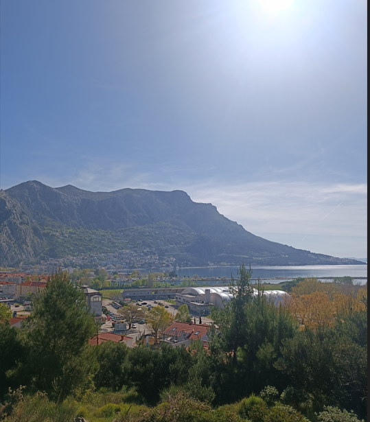 BAULAND IN OMIS