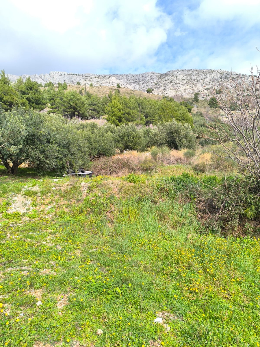 GRAĐEVINSKO ZEMLJIŠTE OMIŠ, STANIĆI