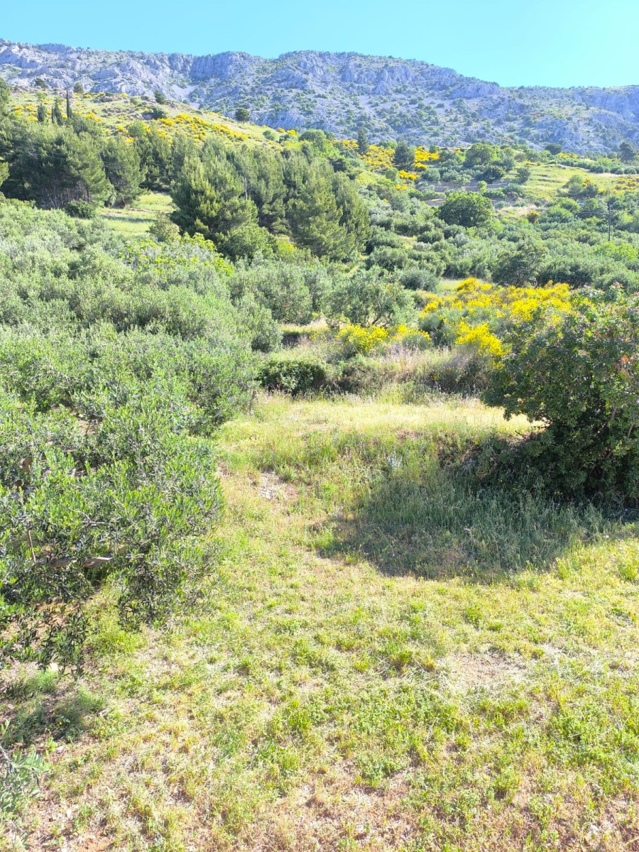 BAUGRUNDSTÜCK MIT MEERBLICK