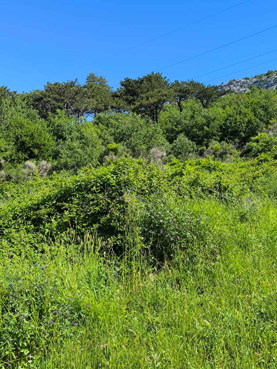 BAUGRUNDSTÜCK OMIS HINTERLAND, TUGARE